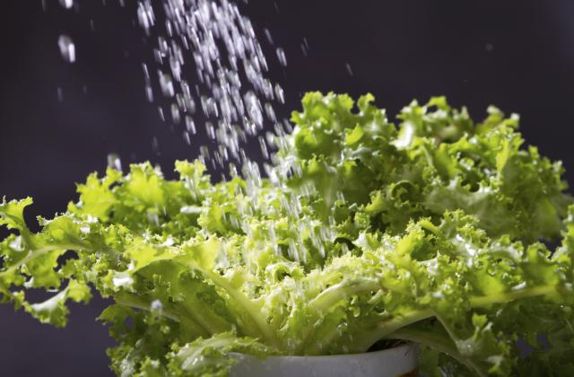7 conseils pour une salade appétissante et savoureuse - Bérengère