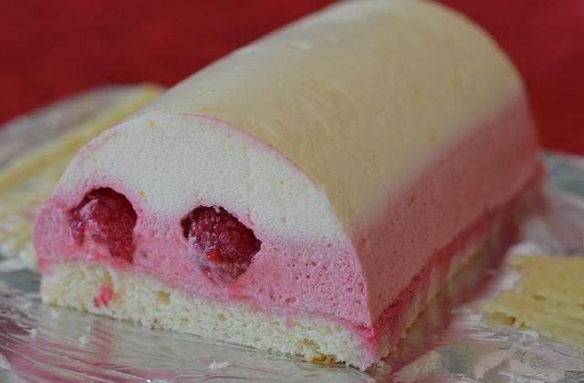 Bûche citron framboise - Photo par Charlotine - Les Yeux plus gros que le Ventre