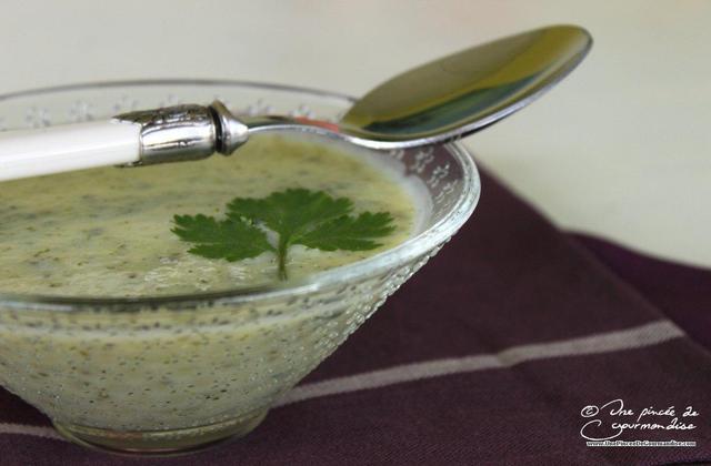 Soupe à la courgette et à la coriandre - Photo par virginHd3