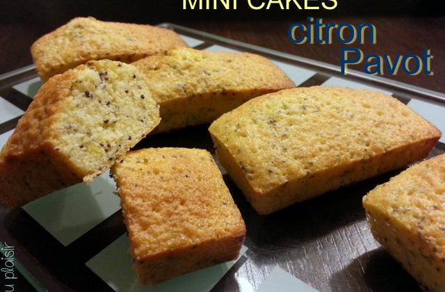 Mini Cake citron Pavot - Photo par du plaisir dans ma cuisine