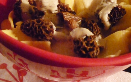 Tagliatelles sauce moutarde & morilles - Photo par moibou