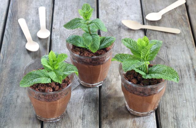 Mousse au chocolat façon pot de fleur - Photo par Silvia Santucci