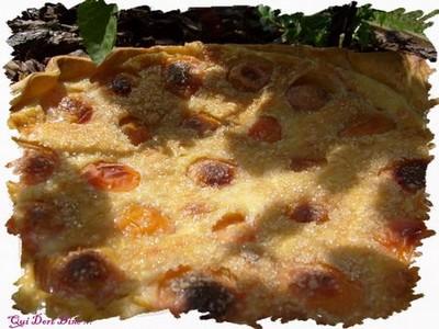 Tarte mousseuse aux abricots - Photo par chouya
