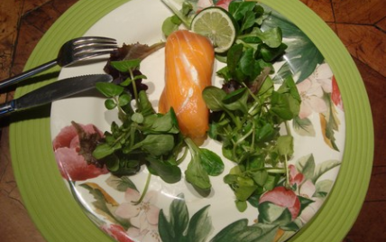 Roulade de saumon au pamplemousse, citron vert et au chèvre, - Photo par selfin