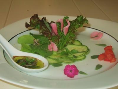 Pousses de salades - Photo par luccetatou