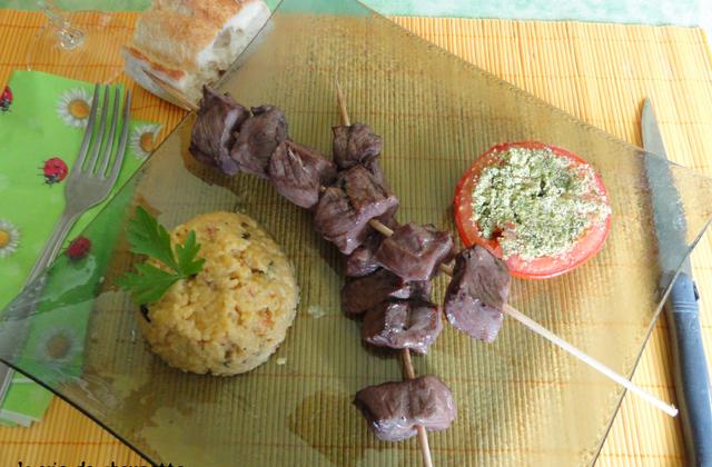 Brochettes de boeuf marinees au vin rouge - Photo par sylvieydY