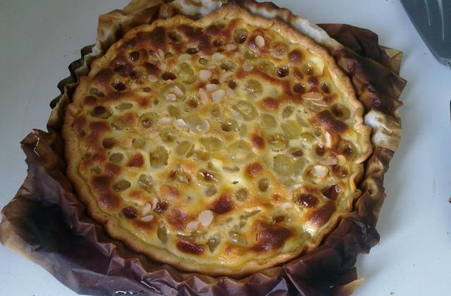 Quiche! ont fait une tarte aux raisins - Photo par jbchris