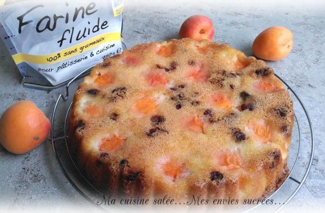 Gâteau aux abricots et cranberries - Fabienne alias Shena