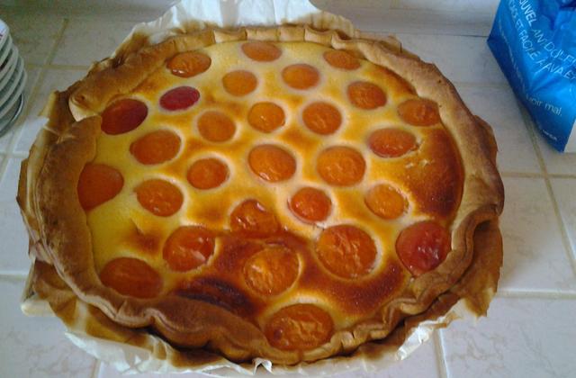 Tarte abricots et fromage blanc - Photo par xXClaiireXx