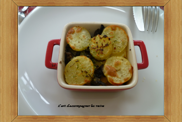Petit gratin d'escargot - Photo par Aspirante