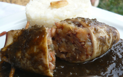 Boulettes de boeuf au curry - Photo par ypersiel jean-pol
