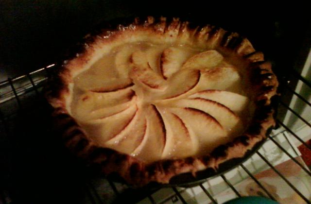 Gâteau aux pommes et nappage abricot - Photo par cycy21V