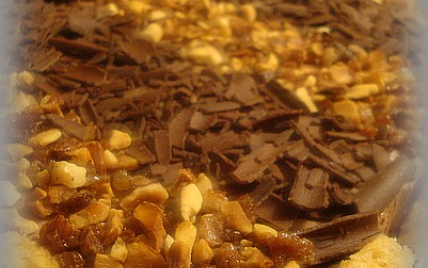 Entremets chocolat-spéculoos - Photo par annecoK