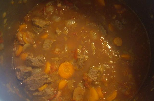 Gùlas (goulash de bœuf) - Photo par audrey-mijote