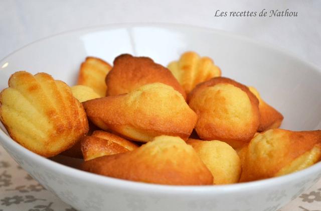 Madeleines à la vanille et au lait - Photo par Invité