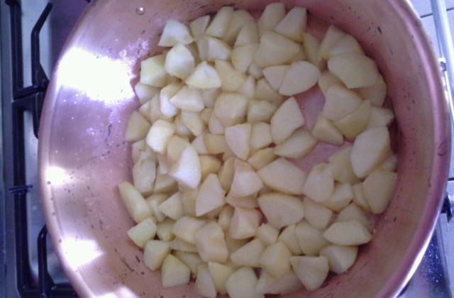 Compote de pomme maison - Photo par Communauté 750g