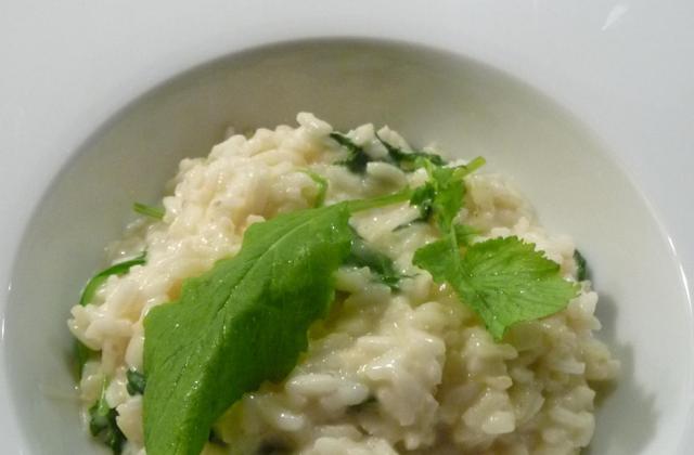 Risotto aux fanes de radis - Photo par vimvallee