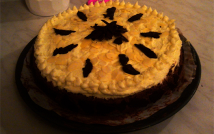 Gâteau chocolat noir et chocolat blanc - Photo par annecoi6