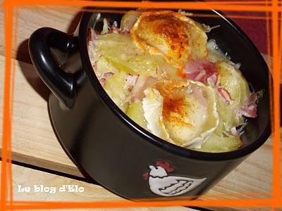 Gratin à la bûche de chèvre - Photo par membre_253704
