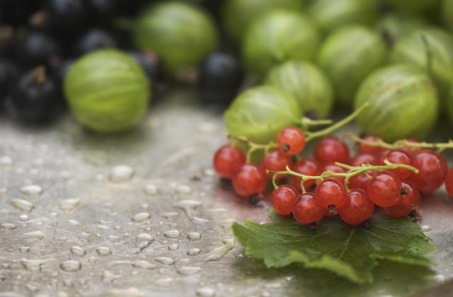 Les fruits et les légumes qui sont de saison en juillet - 750g