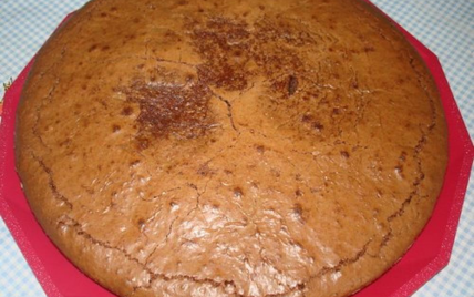 Gâteau moelleux au chocolat inratable - nicole57970