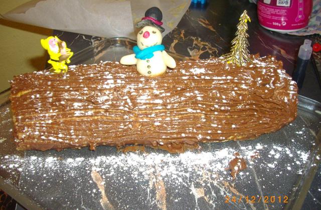 Bûche au chocolat et noisette - Photo par christqOU