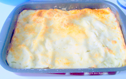 Lasagnes de légumes aux protéines de soja - Photo par adelinaK