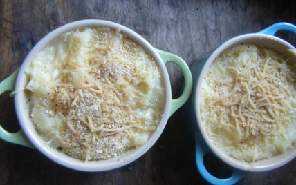 Gratin de purée pâtisson - pomme de terre - Photo par cdugen