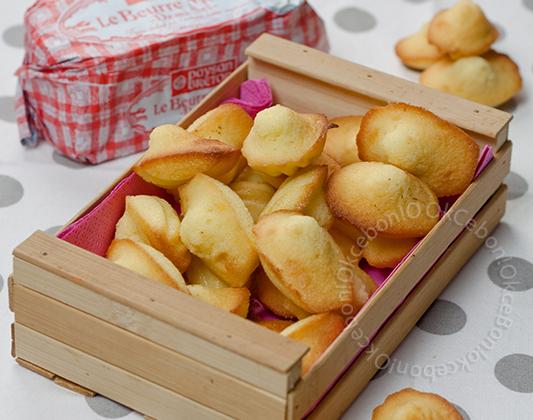 Madeleines aux zestes de citron - Photo par okcebon