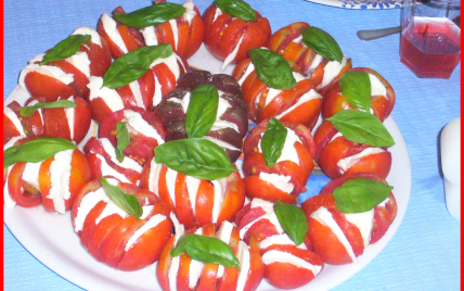 Rouge / Vert / Blanc - claireIr