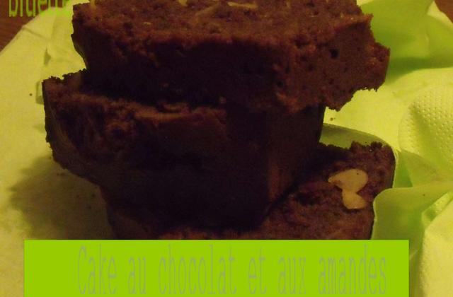 Cake au chocolat et amandes - Photo par lafeebo