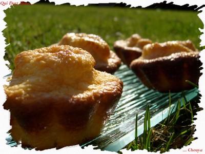 Petits gateaux coco, chocolat, amandes (sans beurre) - Photo par chouya