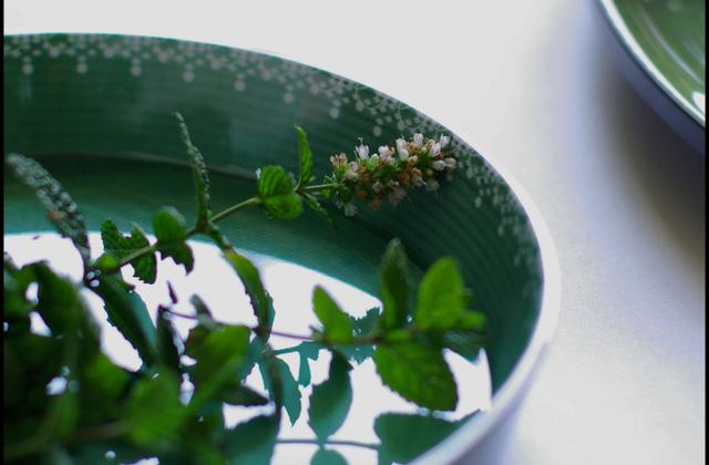 Courgettes à l'escabèche, menthe basilic, feta, citron confit - talons