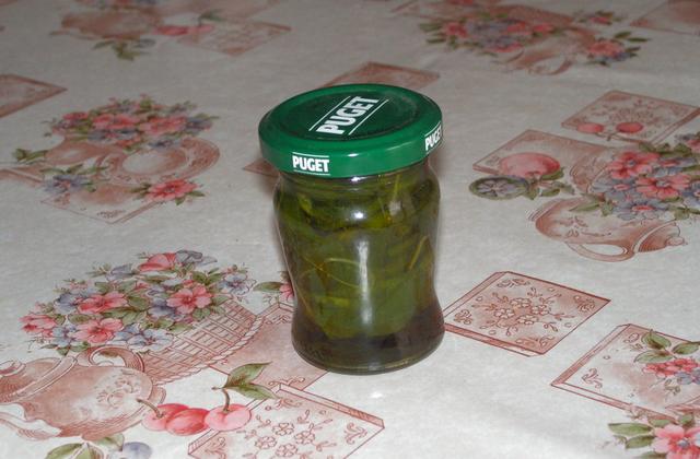 Basilic en petit pot - Photo par kekeli