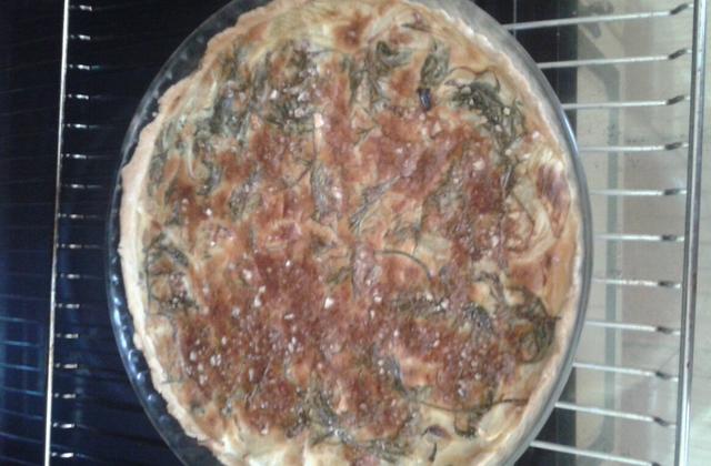 Quiche aux fanes de carottes - Photo par laureneF6