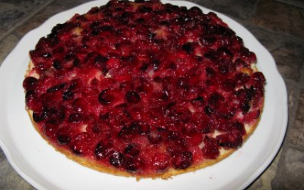 Gâteau renversé aux canneberges - Photo par petit-hobbit