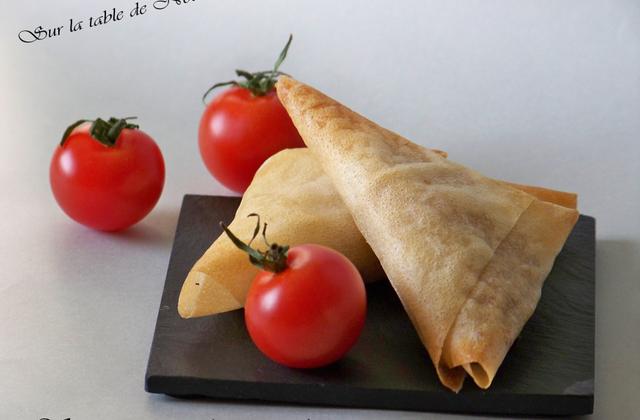 Samossas au thon et à la tomate - Photo par Nounoune25