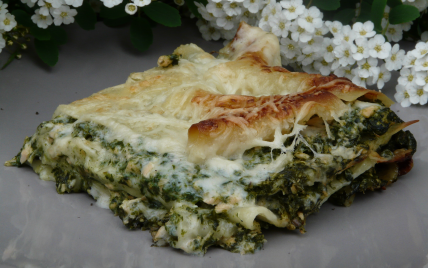 Lasagnes au saumon et aux épinards - Photo par arnold5