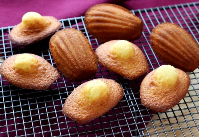 Madeleines, la recette 100% fiable !