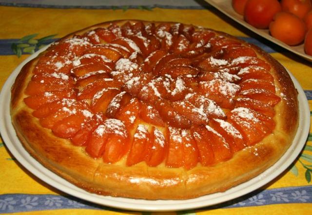 Tarte fine briochée aux abricots