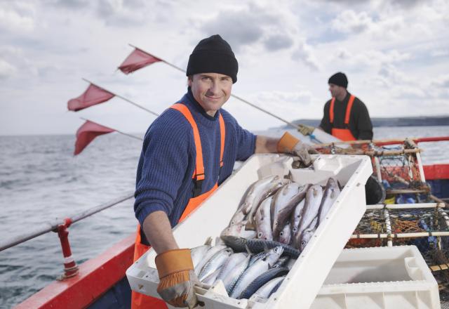 Une grosse enseigne de supermarché vient de signer un accord avec WWF pour soutenir la pêche durable