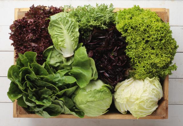 Voici les 3 variétés de salades les plus riches en nutriments à privilégier