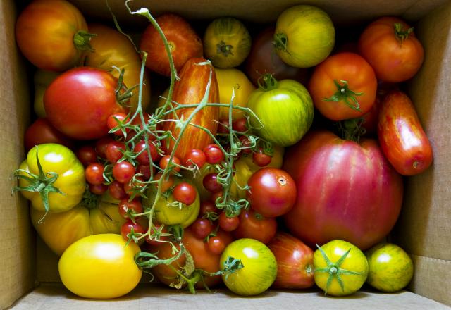 On profite des dernières tomates de saison avec ces idées