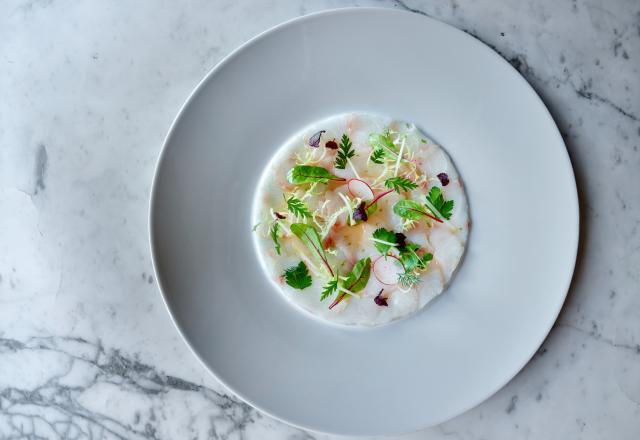 Carpaccio de Cobia