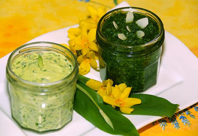 Pesto et beurre à l'ail des Ours