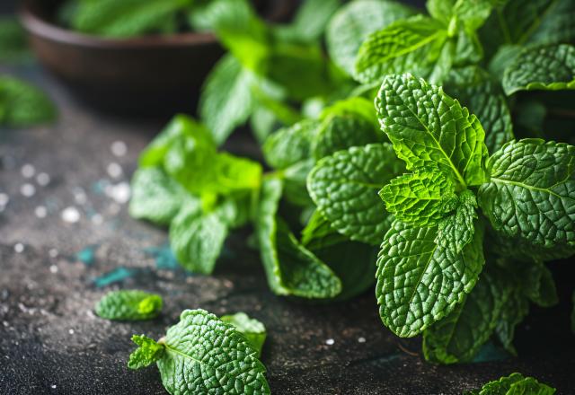 Avec cette méthode, vous pouvez avoir de la menthe à vie en l’achetant seulement une seule fois au supermarché !