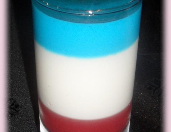 French panna cotta light