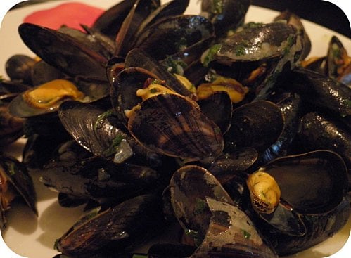 Moules marinières économiques