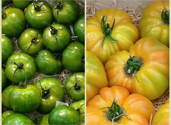 Tomates anciennes, comment bien les reconnaître ?