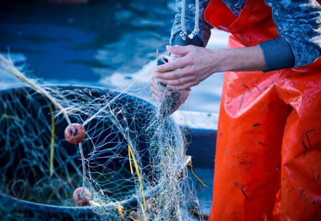 La France : un bon élève en matière de pêche durable ?